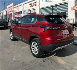 شێڤرۆلێت گروڤ